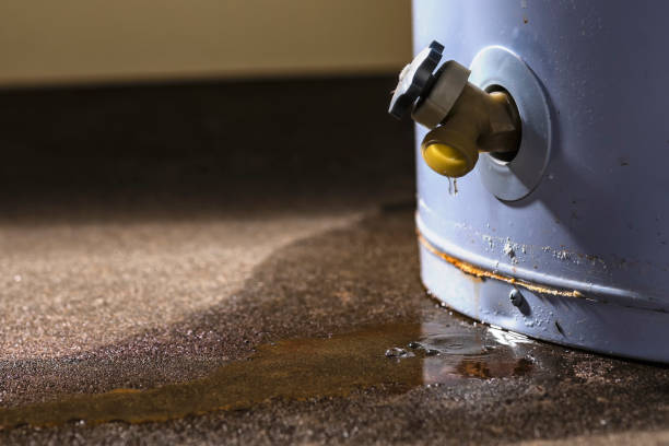 Best Carpet water damage restoration  in Hillcrest, NY