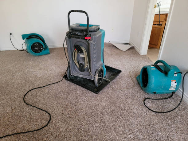 Best Flood restoration services  in Hillcrest, NY