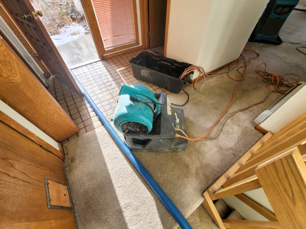 Best Sewage cleanup and water damage restoration  in Hillcrest, NY