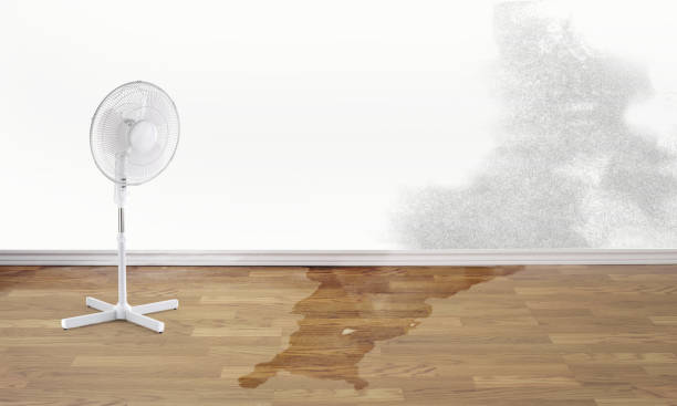 Best Emergency water damage restoration  in Hillcrest, NY