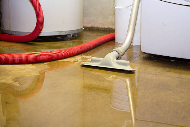 Best Water damage restoration services  in Hillcrest, NY