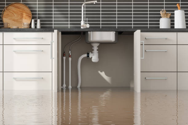  Hillcrest, NY Water damage restoration Pros