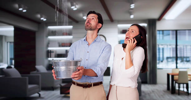 Best Basement water damage restoration  in Hillcrest, NY